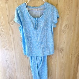 Carole Hochman Ladies 2-piece Pajamas size Large in blue and white Paisl…